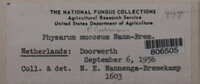Image Associated With the Occurence